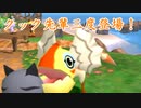 【実況】#28 モンハンなのに主人公はネコ！？【ぽかぽかアイルー村】