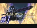【FF14】メインストーリー重視で進めるFF14☆パート1