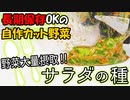 【野菜不足解消レシピ】便利なサラダのタネの作り方(長期保存OK)