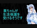 葵ちゃん生活保護を受けるようです　番外編