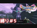 いたずらで人が犬に変わるのは、いたずらの域を超えてる件【ドラゴンクエスト11S】縛り初見プレイ＃５