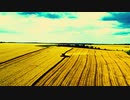 Video-edit @Summer