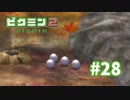 花火みたいに、ふぁ～！って。【ピクミン2】#28