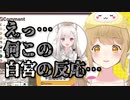 【切り抜き】歌イベントで突然のいちねる供給にオタク化していた白宮みみの裏話【因幡はねる／有閑喫茶あにまーれ】