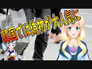 価格が100万ウォンに迫るS級偽物に大枚を叩く消費者も少なくない！韓国で偽物が大人気に！【世界の〇〇にゅーす】