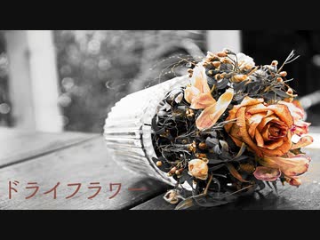ドライフラワー/優里 歌ってみた * 立花 真