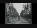 第三の男　The Third Man
