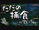 【MHRISE】 狩猟防衛軍  廻-kai- part4