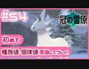 【ポケモン剣盾/DLC1鎧の孤島】ポケモン好きが、初めて種族値・個体値を意識し冒険！【実況】#56