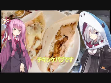 【牛は高かった】え！！ケバブを家で！？【チキンケバブ】
