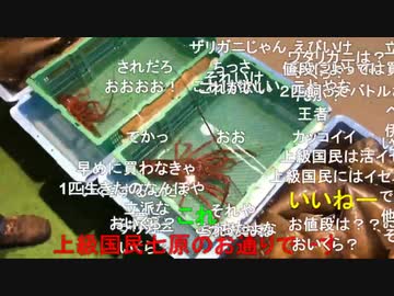 #七原くん 20191231「2019年最後の日。七原くんの24時間放送 ①」米有HD版(軍資金競輪2連勝1万⇒8万+前給＝10万以上,’19年度24時間配信,柳橋中央市場で伊勢エビ購入)