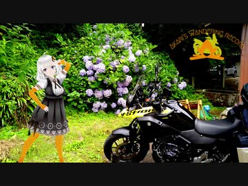 あかりさんのきまぐれ放浪記8 ちょっとよさげな京都編