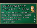 【ウミガメのスープ】　初心者でも解けそうなウミガメのスープ　【水平思考クイズ】　#034　「話の続きを知りたくて」