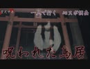 【ｺﾜｽｷﾞ注意】首のない女性を追え！一人で心霊スポットを調査せよ【高津神社】