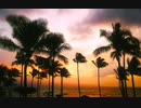 フリー音楽素材 - 南国感のあるオシャレなBGM