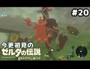 【ゼルダの伝説ブレスオブザワイルド】ケンカキックしてくるモリブリン【実況プレイ】#20