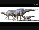 長崎市で発見の恐竜化石は国内最大級の「ハドロサウルス上科」