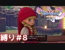 変なヒゲのオッサンに追われたり、幼女を仲間にしたりする動画【ドラゴンクエスト11S】縛り初見プレイ＃８