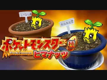 【実況】ヒマナッツが瀕死になったら「現実でひまわりを育てる」縛り（Part②）