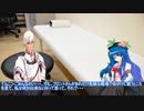 【Daemon x Machina】ブロントエクスマキナ Part 31【東方魔神鉄】