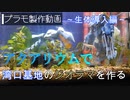 【プラモ製作】アクアリウムで湾口基地のガンプラジオラマを作る　～生体導入編～