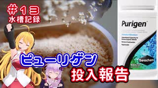 【ボイロアクアリウム】#13 次世代の活性炭？ピューリゲンを投入【水槽記録】