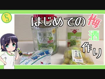 京町セイカのはじめての梅酒作り