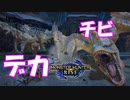 【実況】どれ貰ったかわかんなくなっちゃった【モンスターハンターライズ】