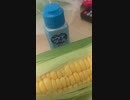 神様なんていらない僕らの　歌ってみた
