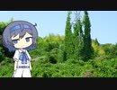 【CeVIO写真】今日も写真でのんびり雑談＿58枚目【深緑の鉄塔】