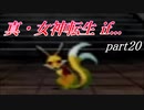 【PS】【真・女神転生if...】part20