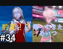 【2人実況】スイッチ持ってない友人とポケモンシールドを草タイプ縛りで実況プレイ part34