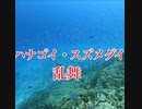 ハナゴイとスズメダイの乱舞・慶良間諸島