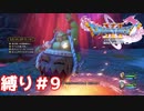 変なヒゲのオッサンに追われたり、幼女を仲間にしたりする動画【ドラゴンクエスト11S】縛り初見プレイ＃９