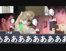 子猫を育てる先輩【Part４】