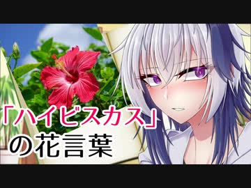 花と学ぶflower言葉 5本目