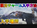 ここでしか手に入らない限定武器チャームの入手方法！！新レジェンドのティザー予告視聴で入手可能！！【解説】【入手方法】【APEX LEGENDS/エーペックスレジェンズ】