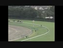 【大逃げ圧勝】1993年 第39回 産経賞オールカマーをウマ娘のBGMで盛り上げたい【ツインターボ】