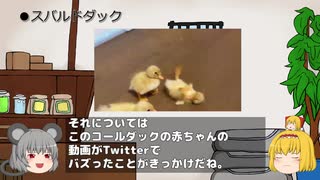 スバルドダックとは？【ゆっくりmeme紹介】