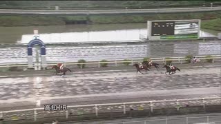 2021年7月18日高知競馬1R 2歳新馬 フィールマイラヴ