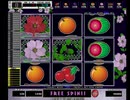 ワイルドローゼス　ザ　ガーデン（cron）