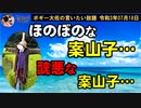ほのぼのとした案山子と醜悪な案山子　ボギー大佐の言いたい放題　2021年07月18日　21時頃　放送分