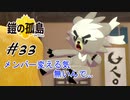 #33  いや、間に合ってます...【ポケモン盾：進化禁止、ダイマックス禁止縛り】