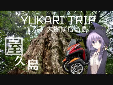 YUKARITRIP #7-1 【大樹が宿る島】