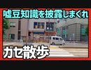 何も為にならない嘘豆知識を披露しよう！「ガセ散歩」