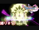 金のサボテンと、銀のスライム　あなたが落としたのはどちらですか？【ドラゴンクエスト11S】縛り初見プレイ＃12