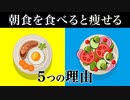 朝食を食べると痩せる5つの理由【ビーレジェンド プロテイン】