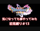 いろいろ気になってた事やってみた【ドラゴンクエスト11S】縛り初見プレイ＃13
