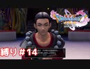 王子の替え玉で馬レース大会に出て優勝してみた【ドラゴンクエスト11S】縛り初見プレイ＃14