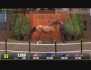 【セレクトセール2021】 １日目１歳馬 上場番号1～50